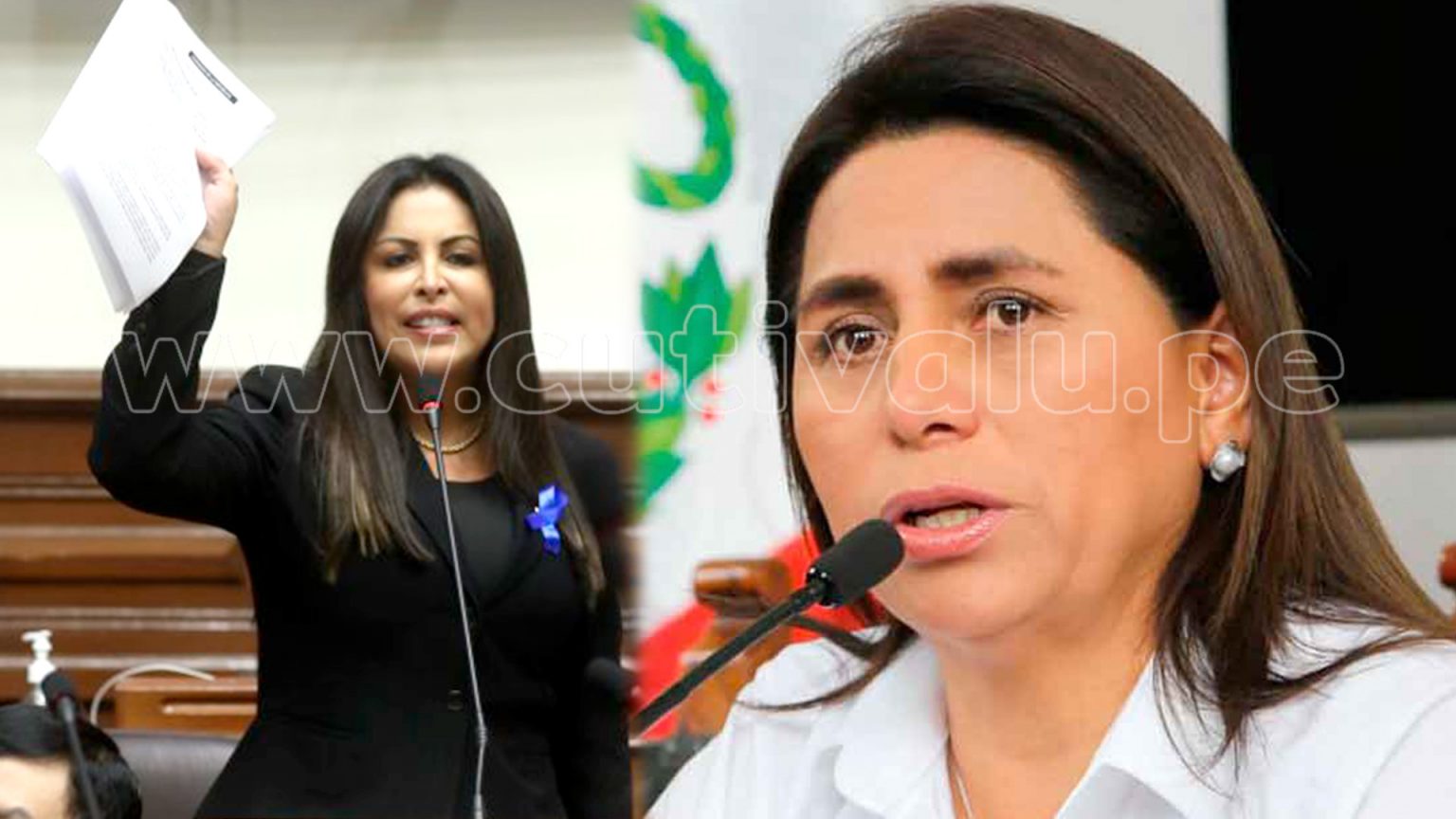 Patricia Chirinos Presenta Denuncia Constitucional Contra Exministra De