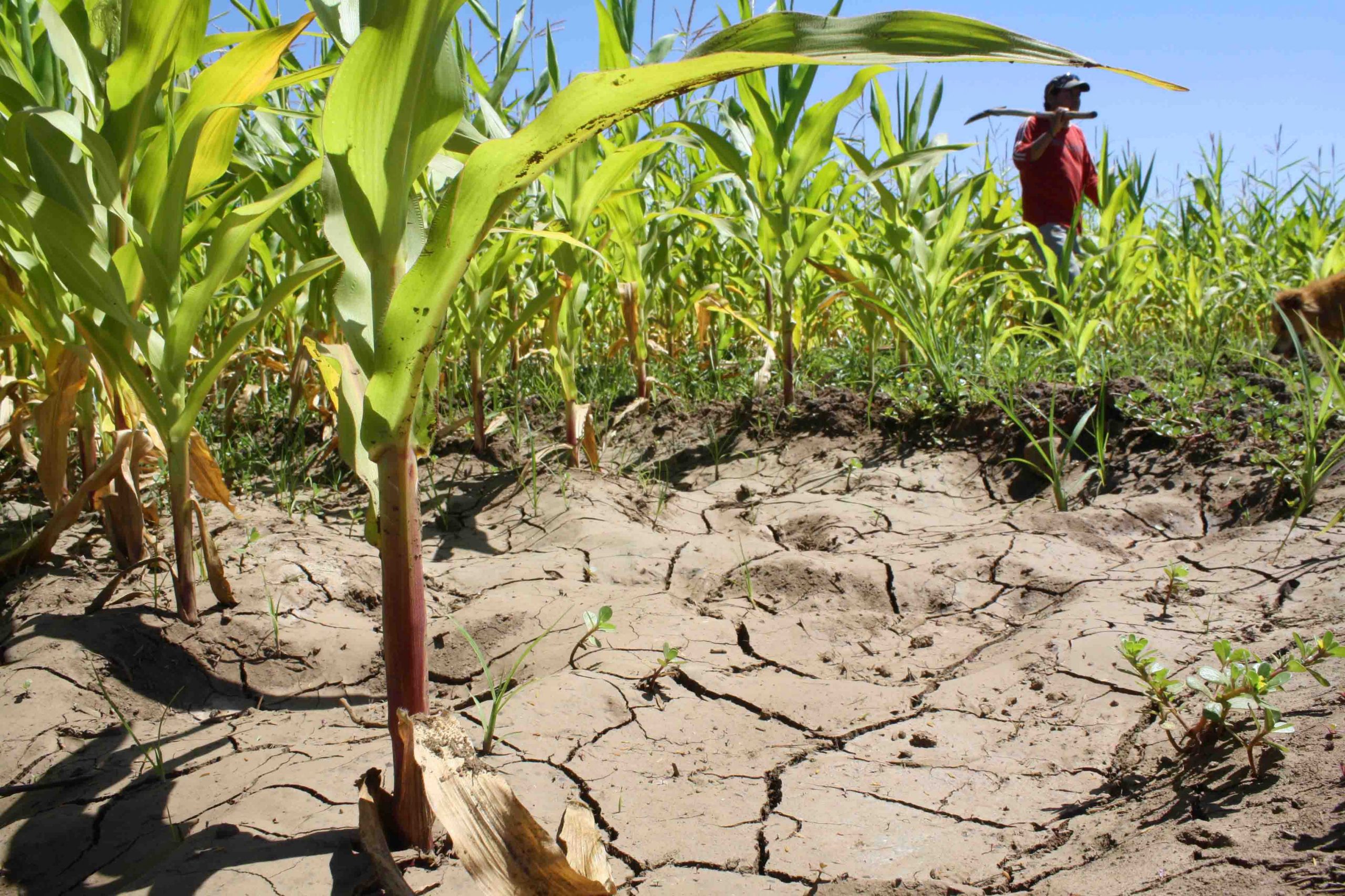 Diferentes Informes De Las Naciones Unidas Advierten Un D Ficit De Agua