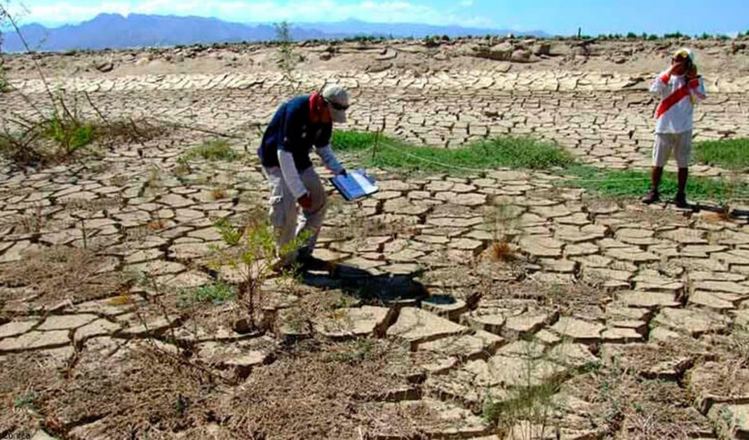 Piura Once Distritos Son Declarados En Emergencia Por Sequía Cutivalú Piura 1613